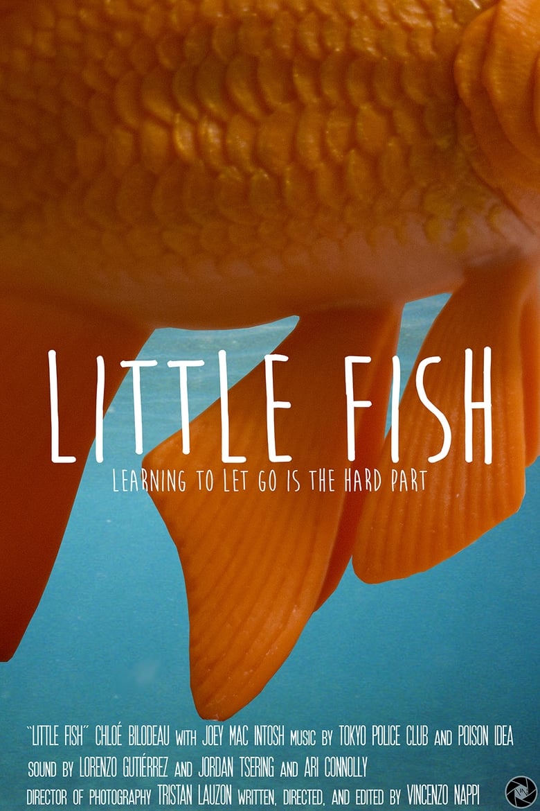 Poster of Little Fish