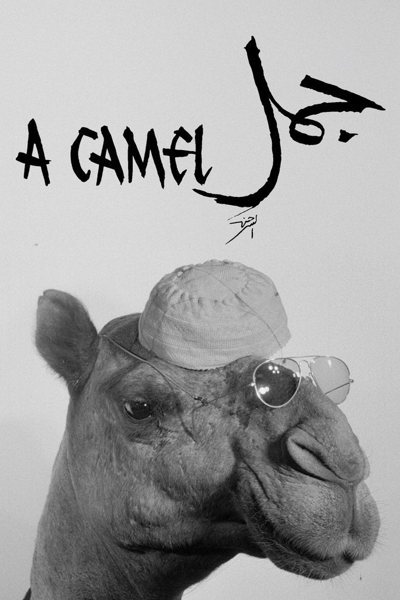 Poster of A Camel