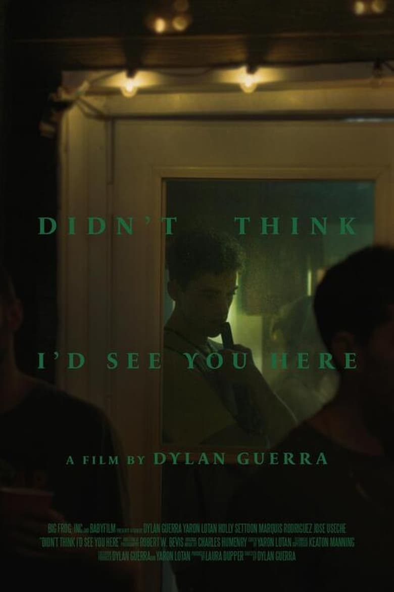 Poster of Didn't Think I'd See You Here