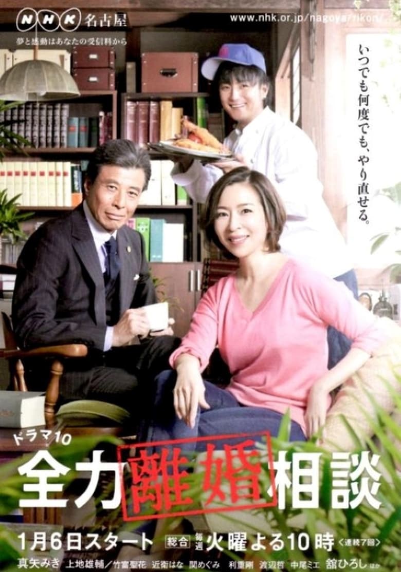 Poster of 全力離婚相談