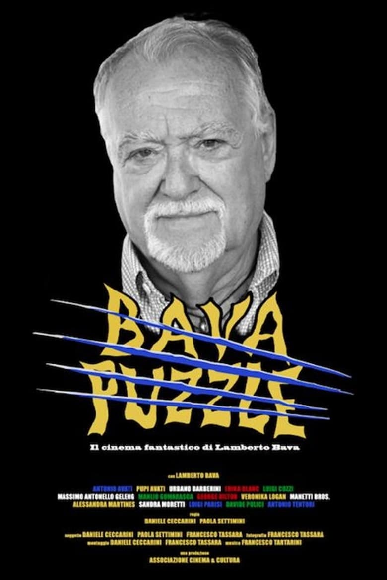 Poster of Bava Puzzle