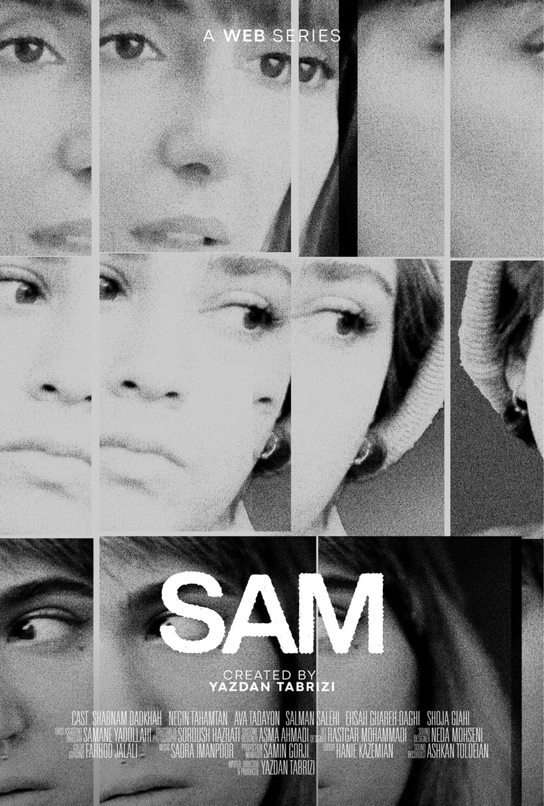 Poster of SAM