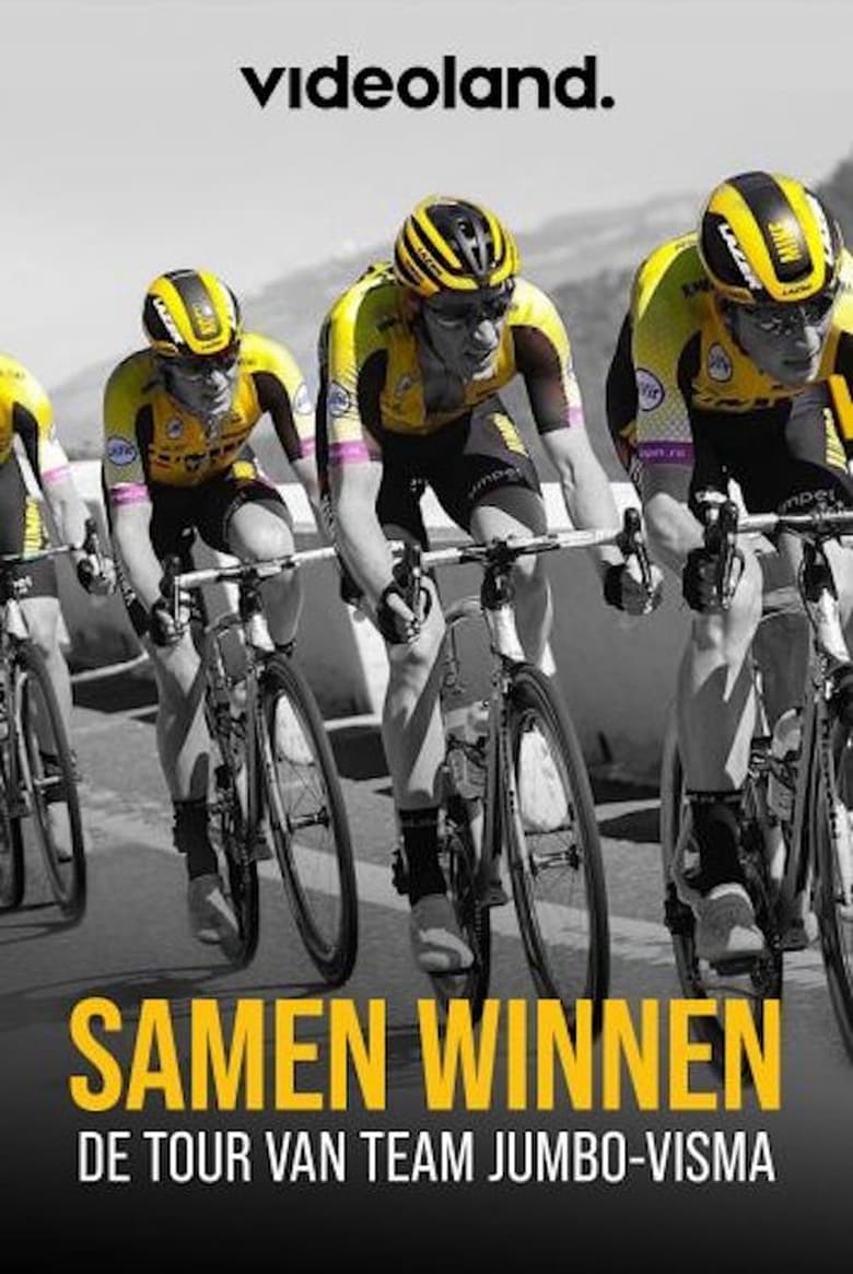 Poster of Samen Winnen