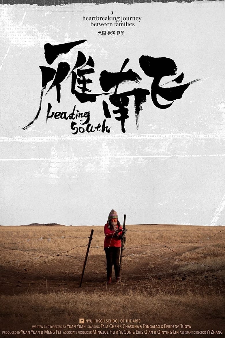 Poster of Heading South