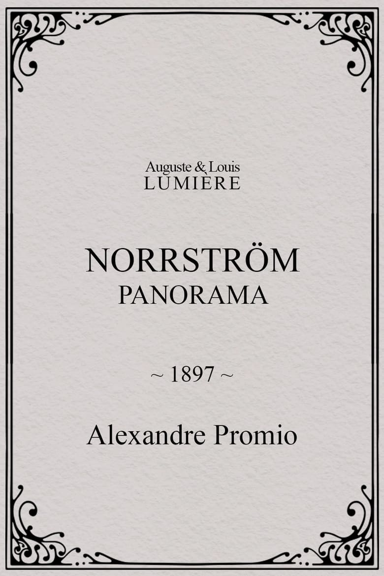 Poster of Norrström: panorama