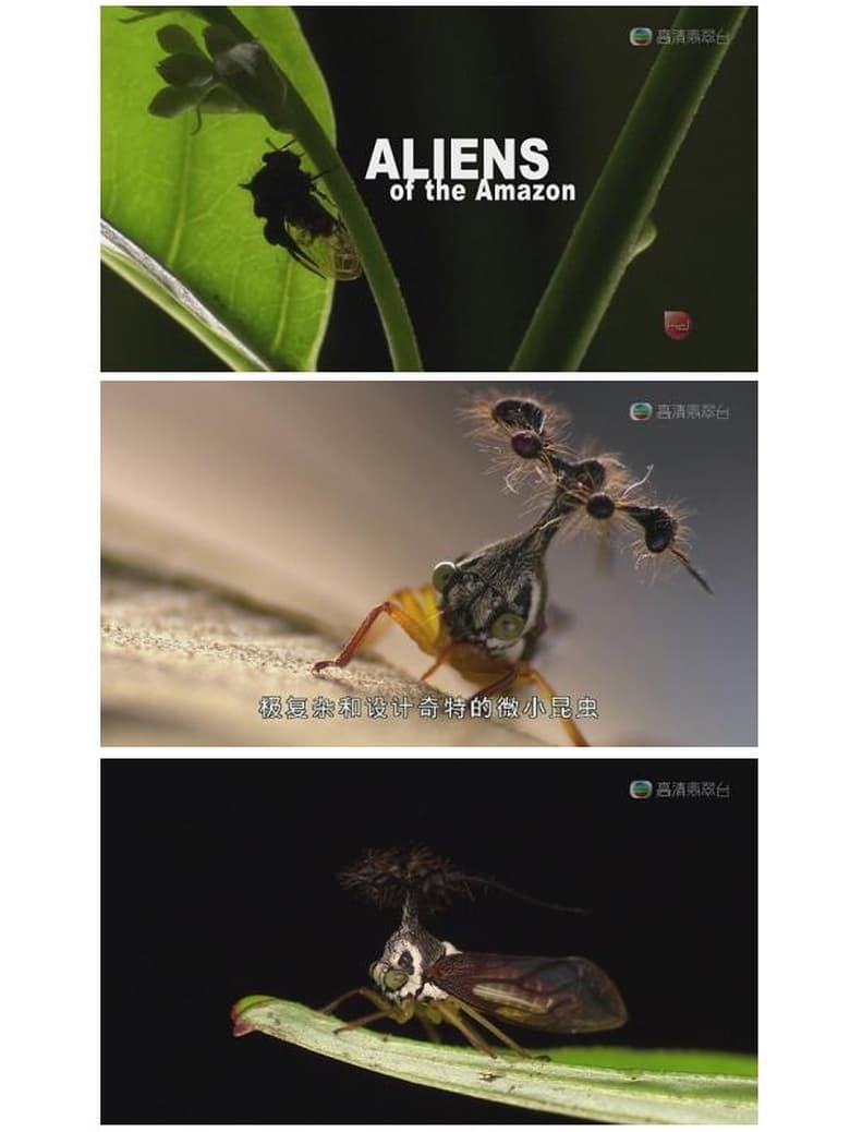 Poster of Episodes in Aliens Of The Amazon - Season 1 - Season 1