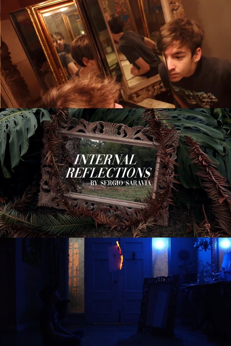 Poster of Internal Reflections