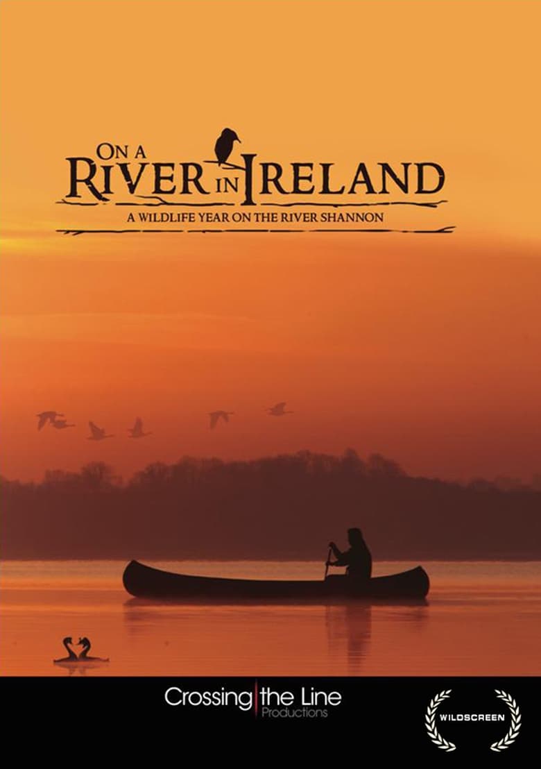 Poster of On a River in Ireland