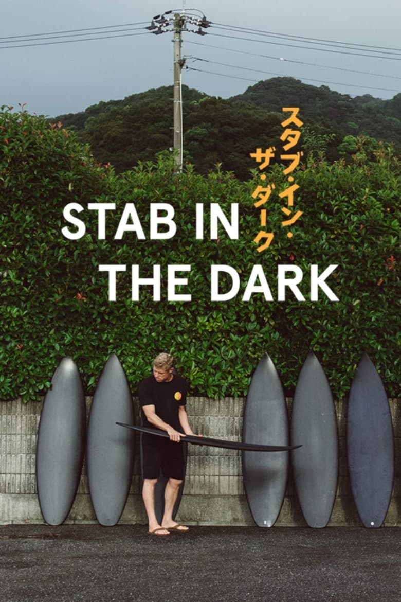 Poster of Stab in the Dark