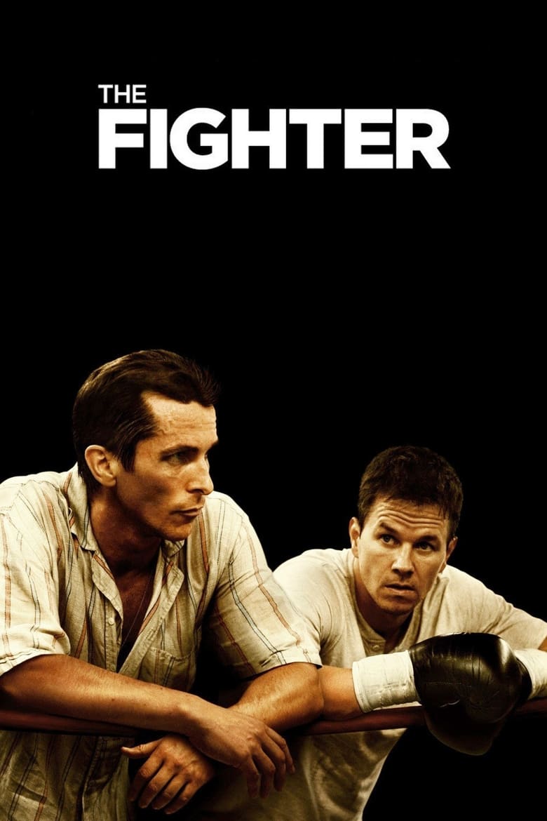 Poster of The Fighter