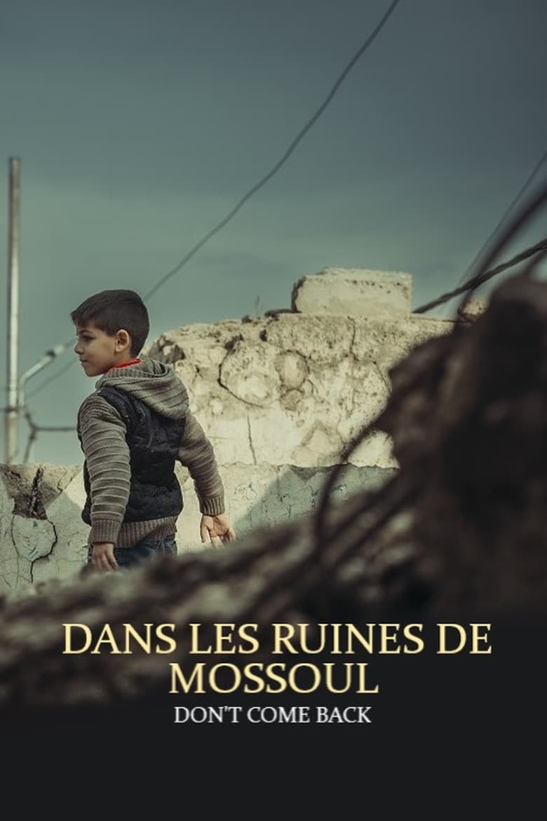 Poster of Dans les ruines de Mossoul - Don’t Come Back