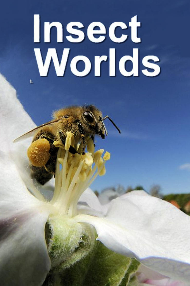 Poster of Insect Worlds