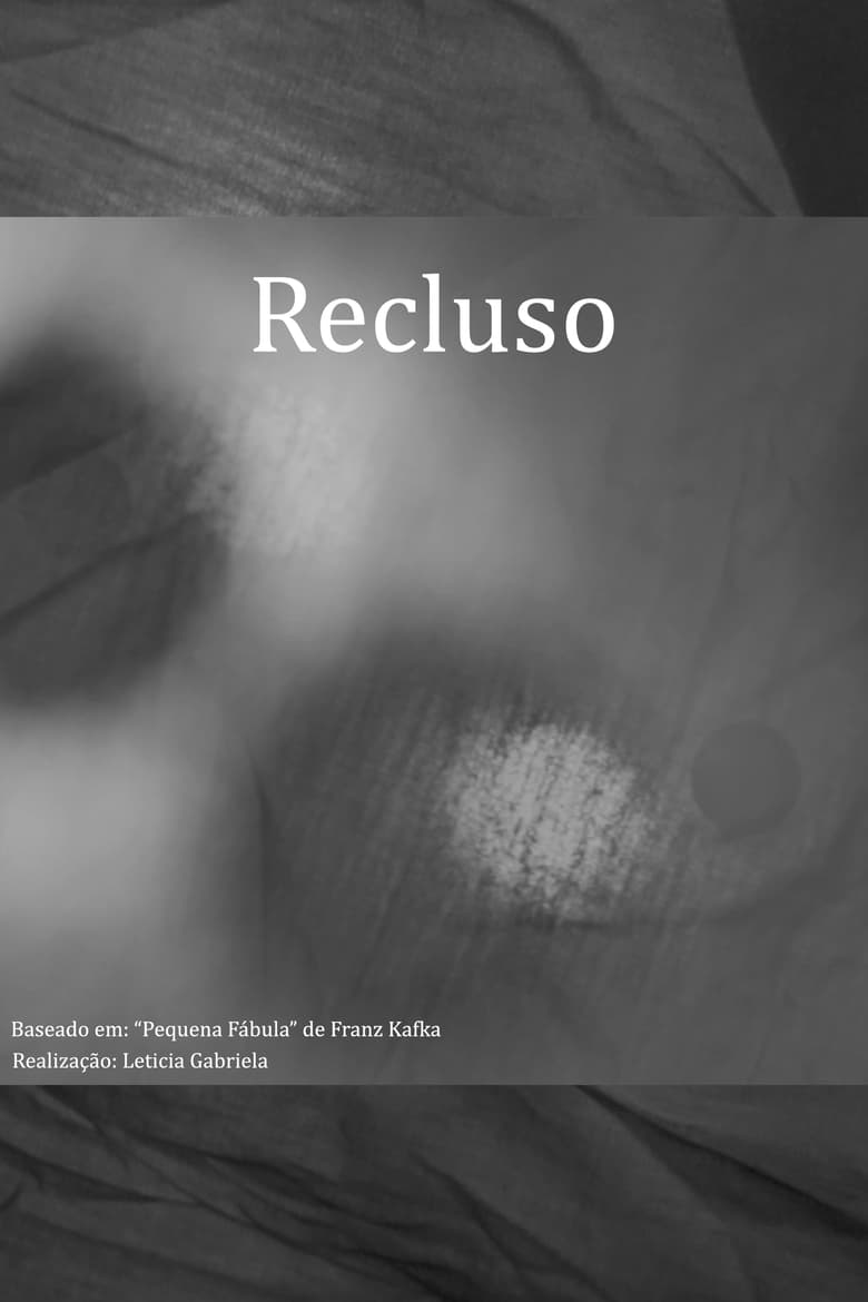 Poster of Recluso