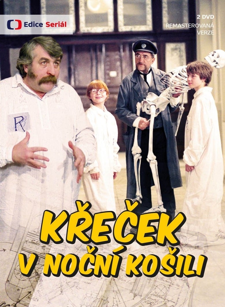 Poster of Křeček v noční košili