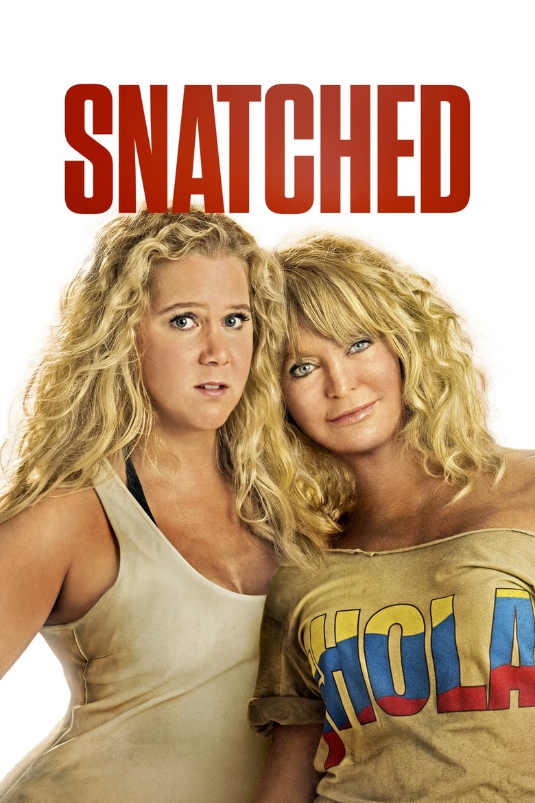 Poster of Snatched