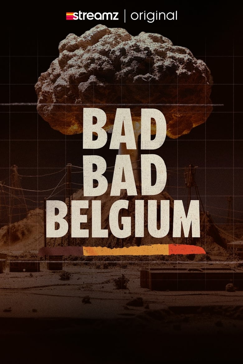 Poster of Bad Bad Belgium