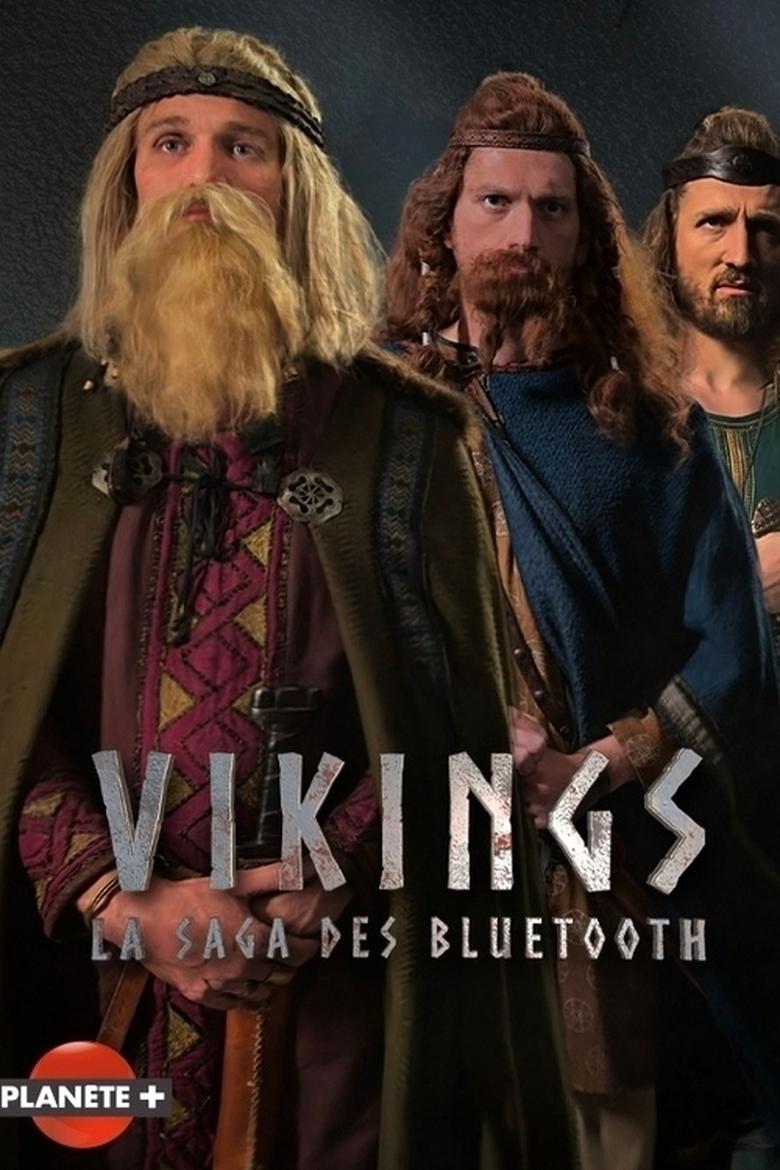 Poster of Vikings : La saga des Bluetooth