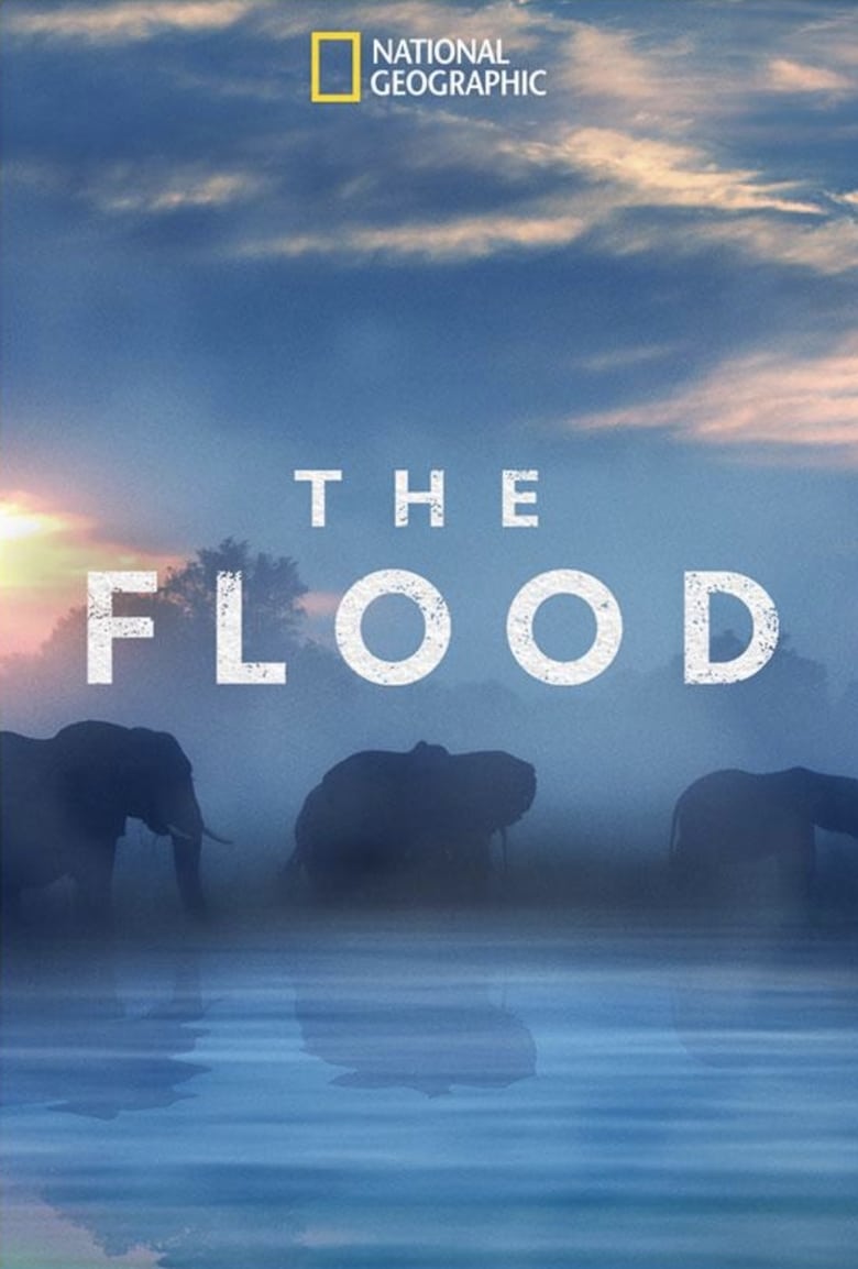 Poster of The Flood