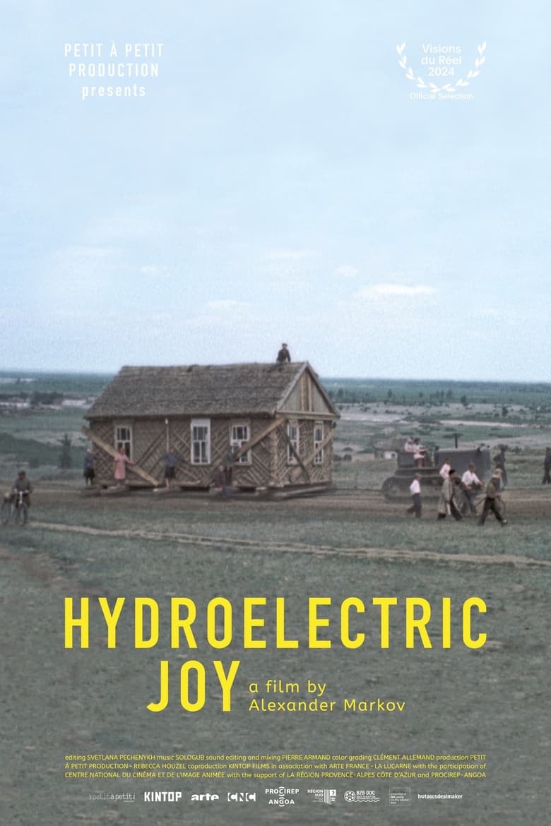 Poster of Hydroelectric Joy