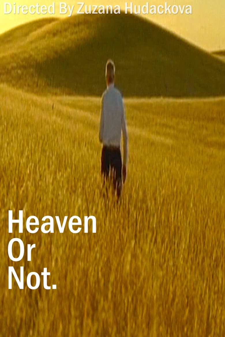 Poster of Heaven Or Not