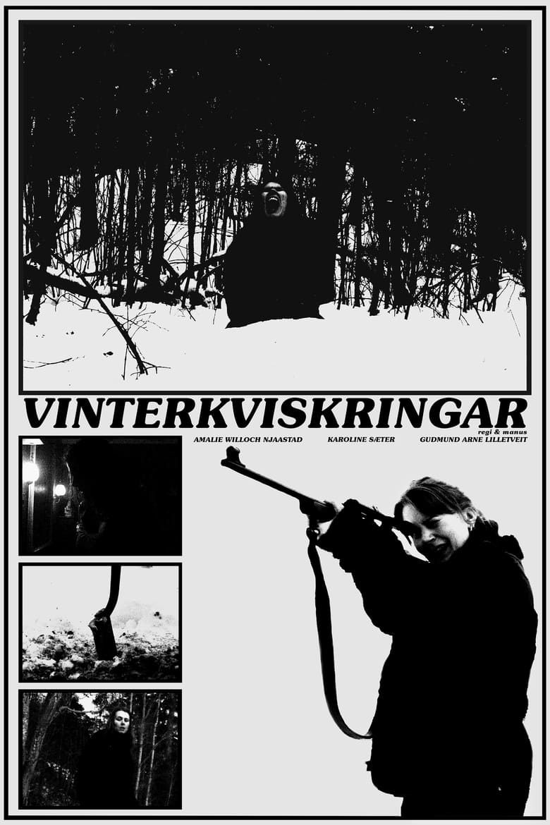 Poster of Vinterkviskringar