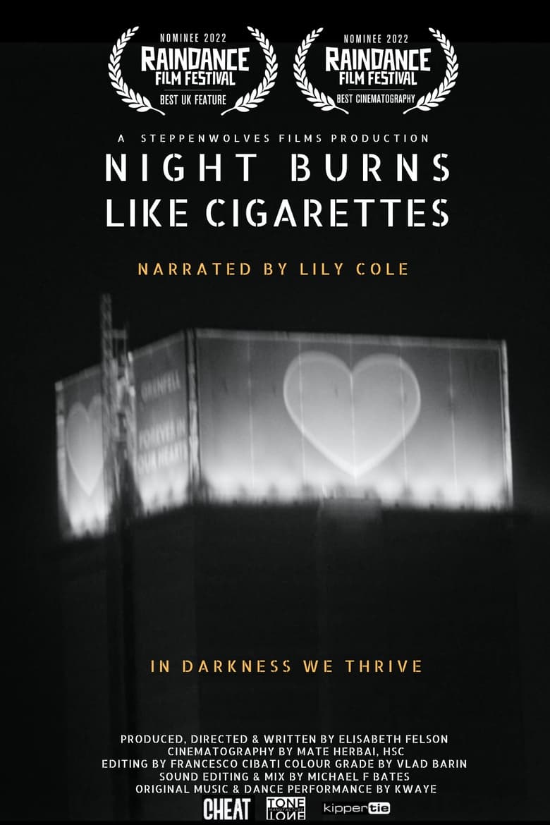 Poster of Night Burns Like Cigarettes