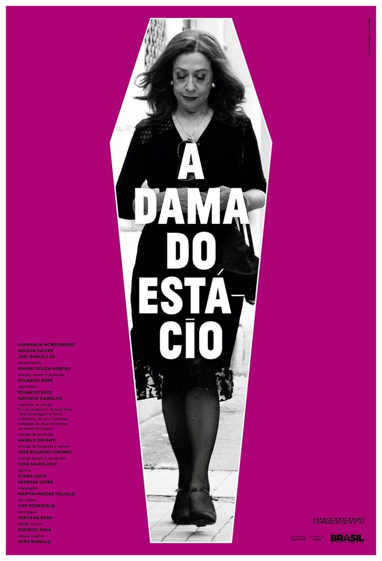 Poster of A Dama do Estácio