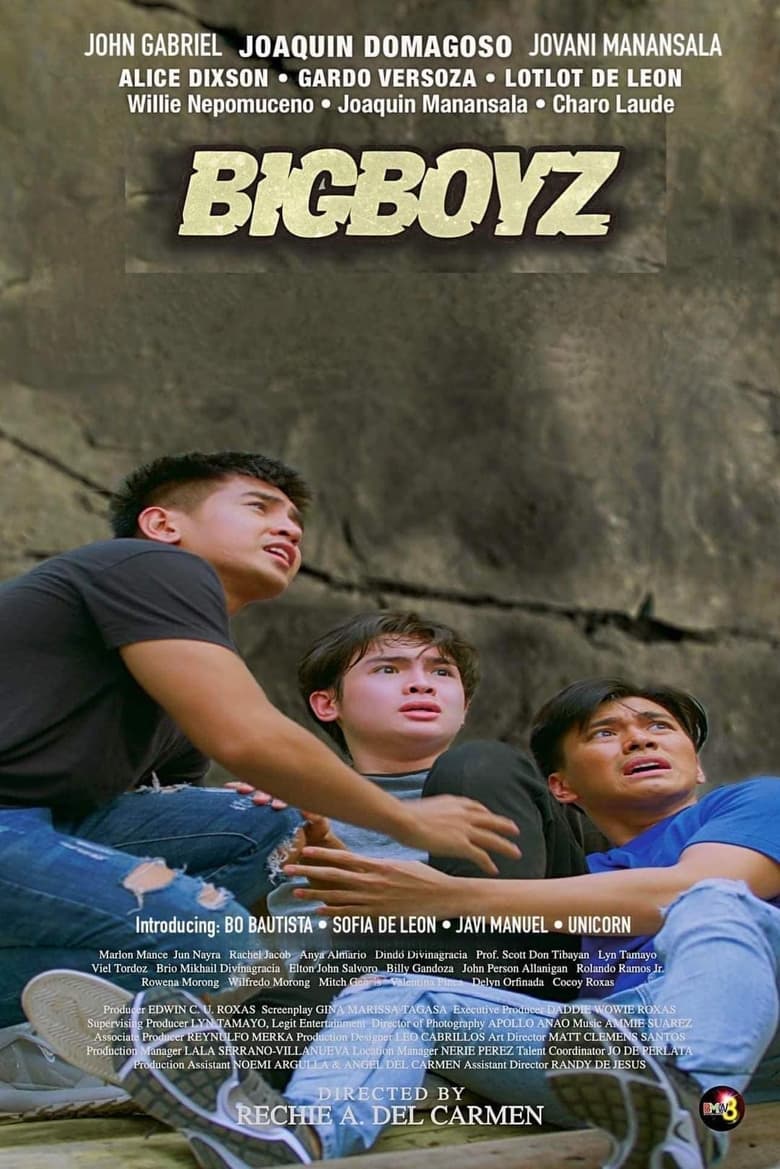 Poster of Bigboyz