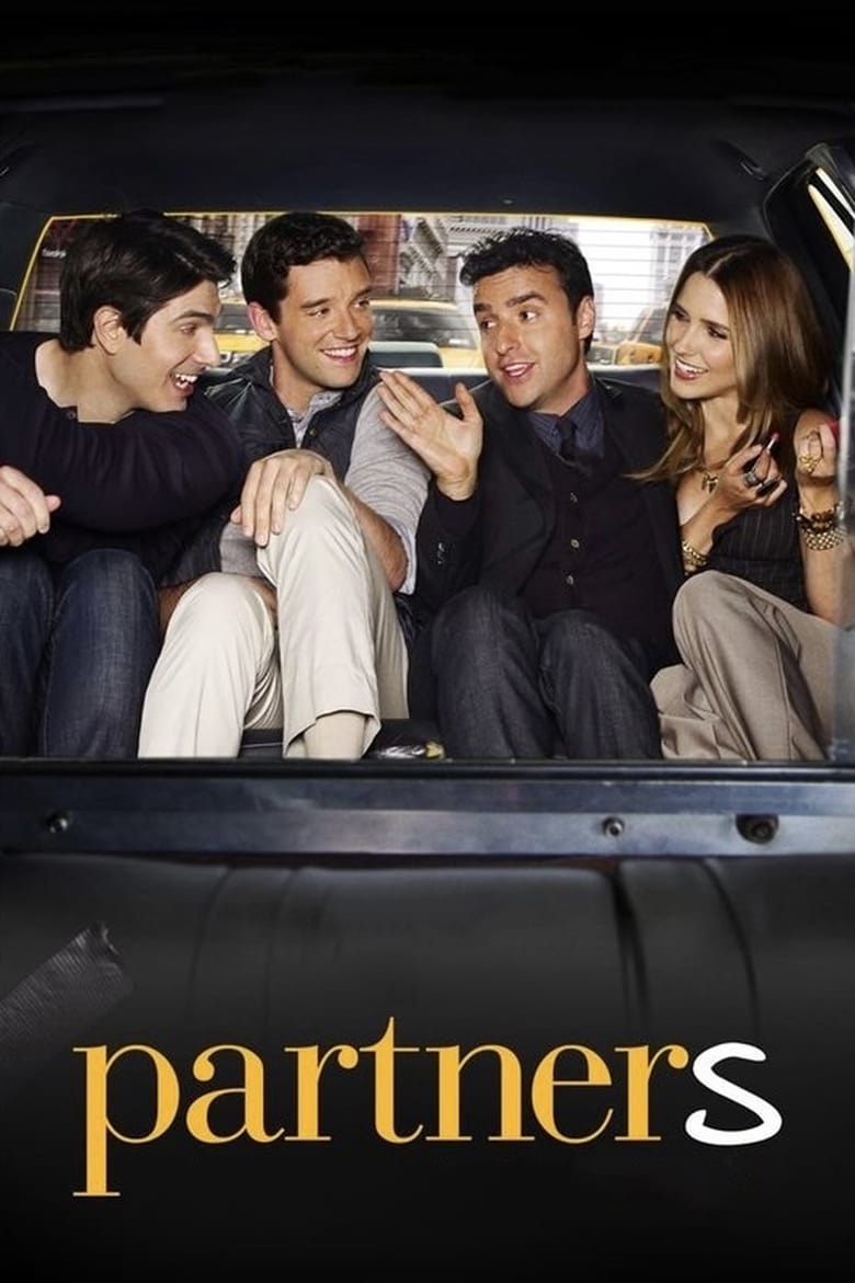 Poster of Partners