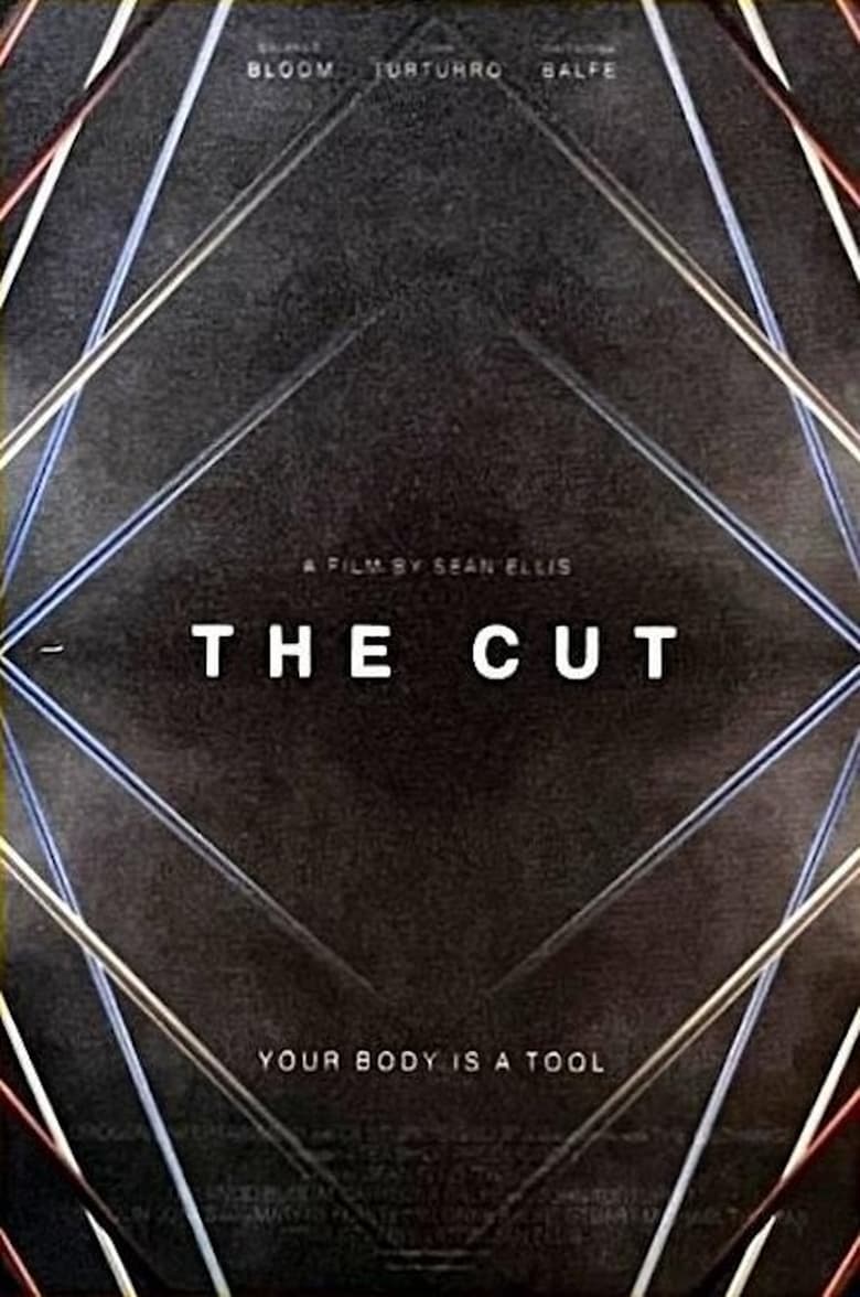 Poster of The Cut