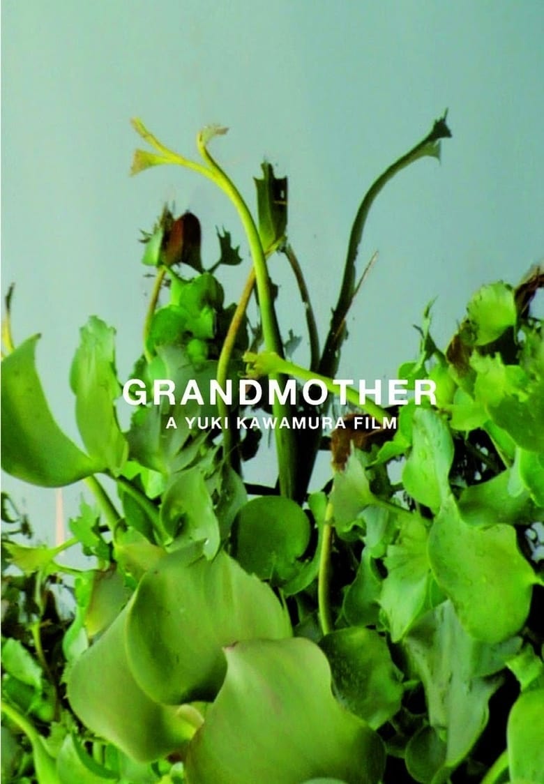 Poster of Grandmother