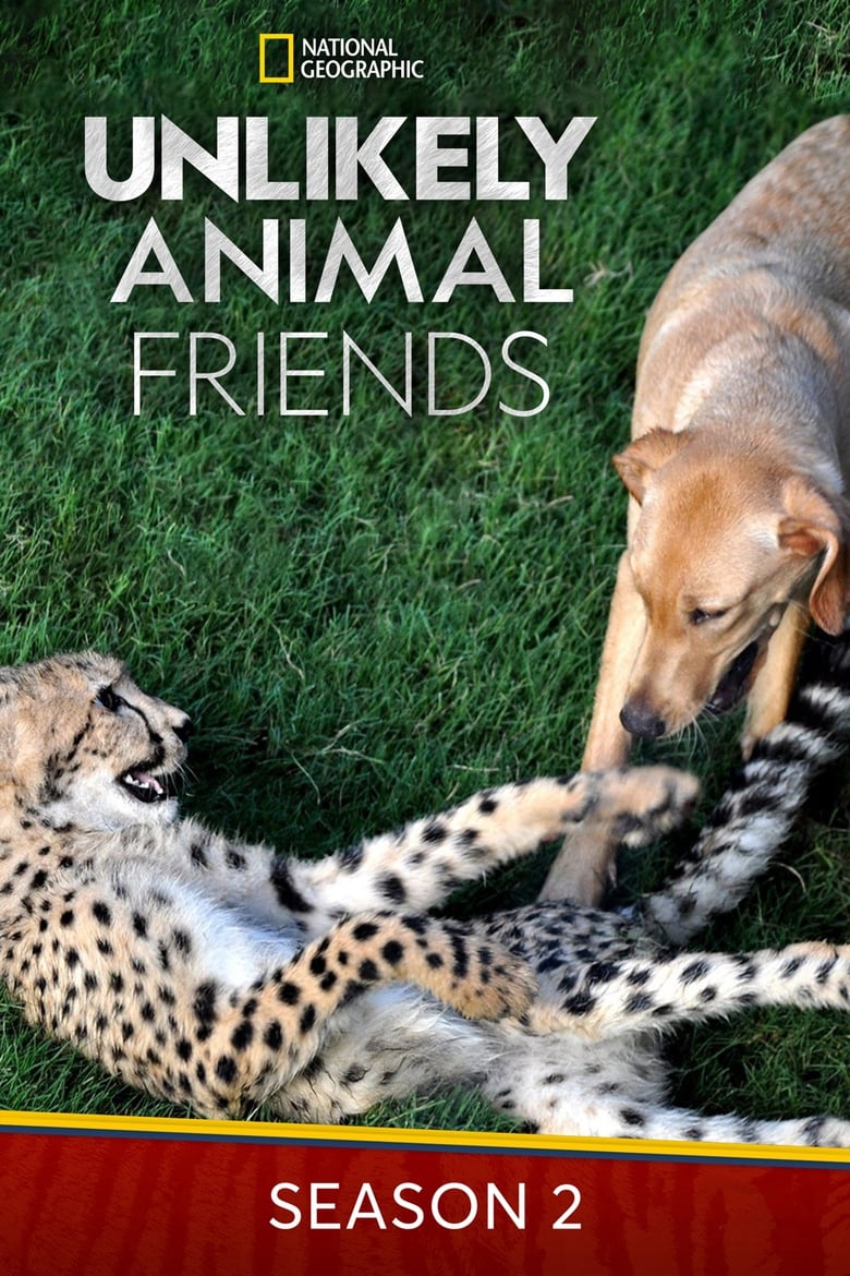 Poster of Episodes in Unlikely Animal Friends - Season 2 - Season 2