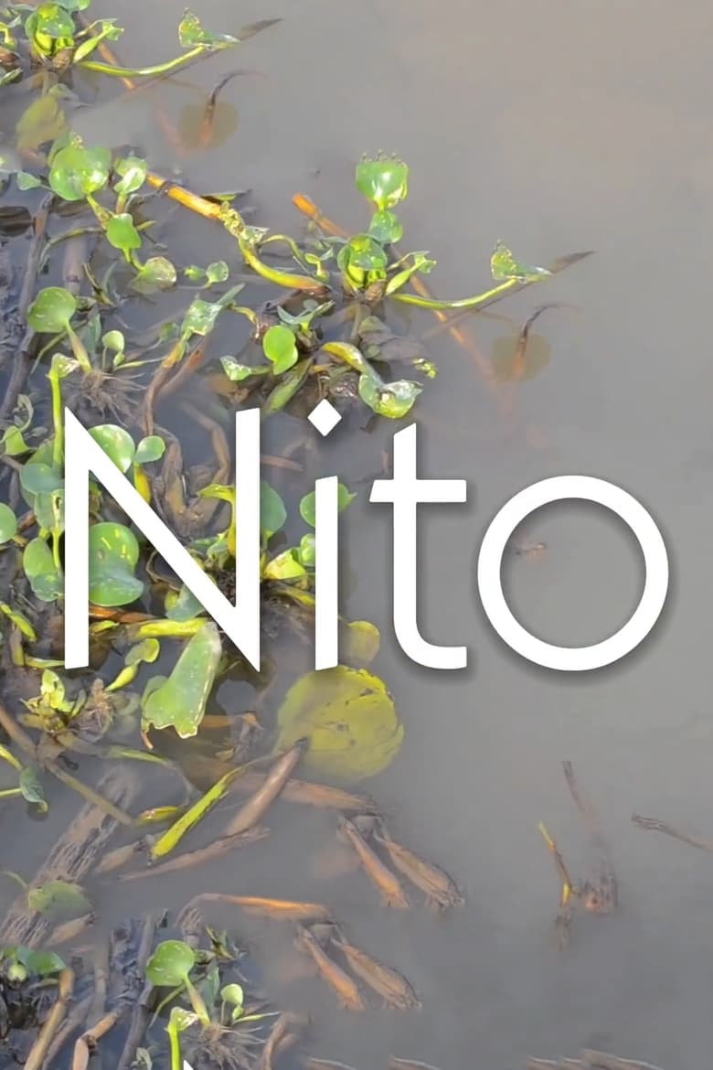 Poster of Nito