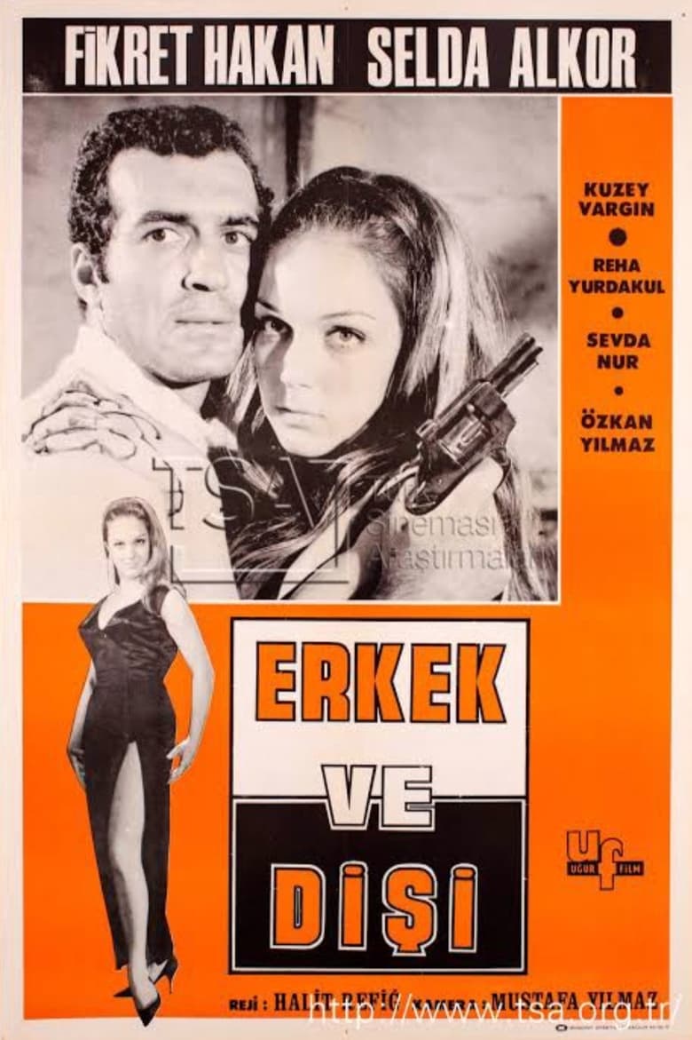 Poster of Erkek ve Dişi