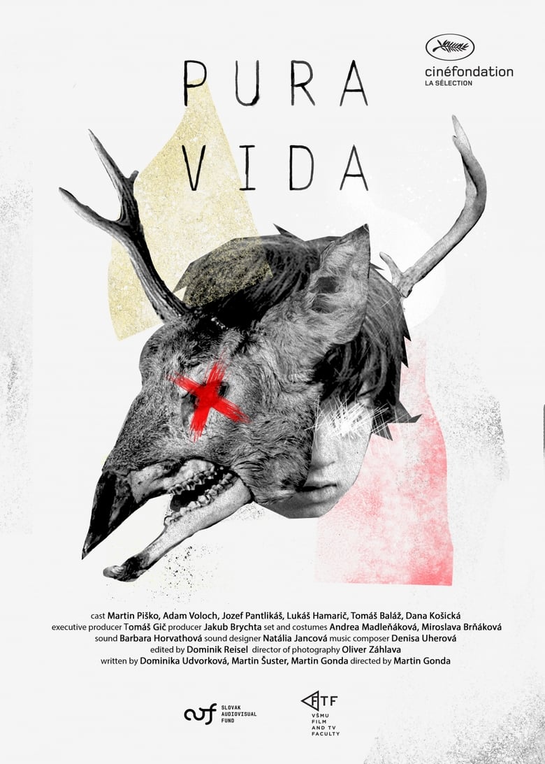 Poster of Pura Vida