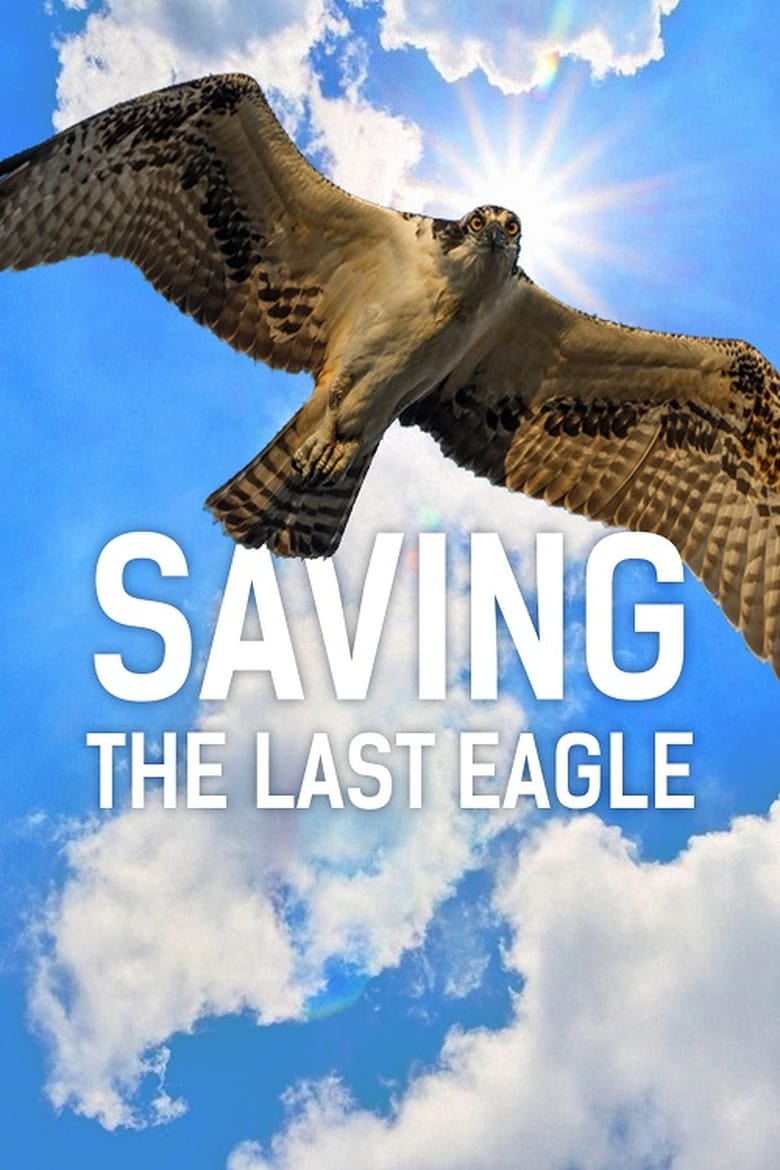 Poster of Saving The Last Eagle