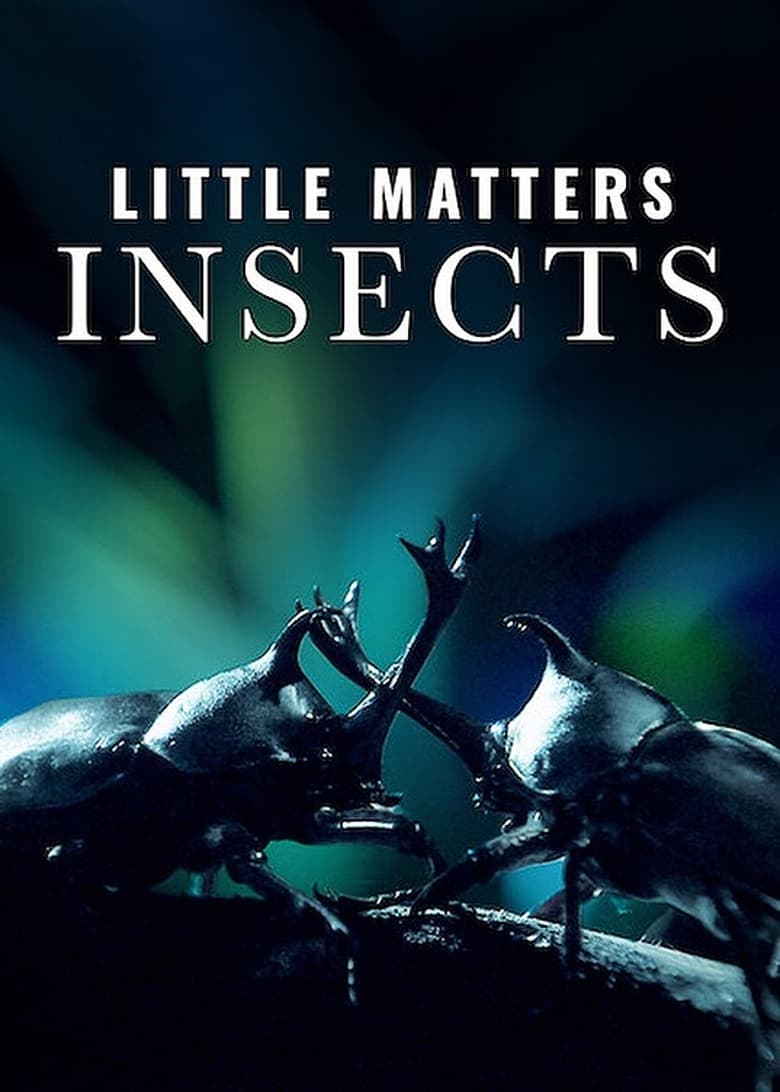 Poster of Little Matters: Insects