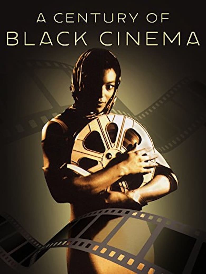 Poster of A Century of Black Cinema