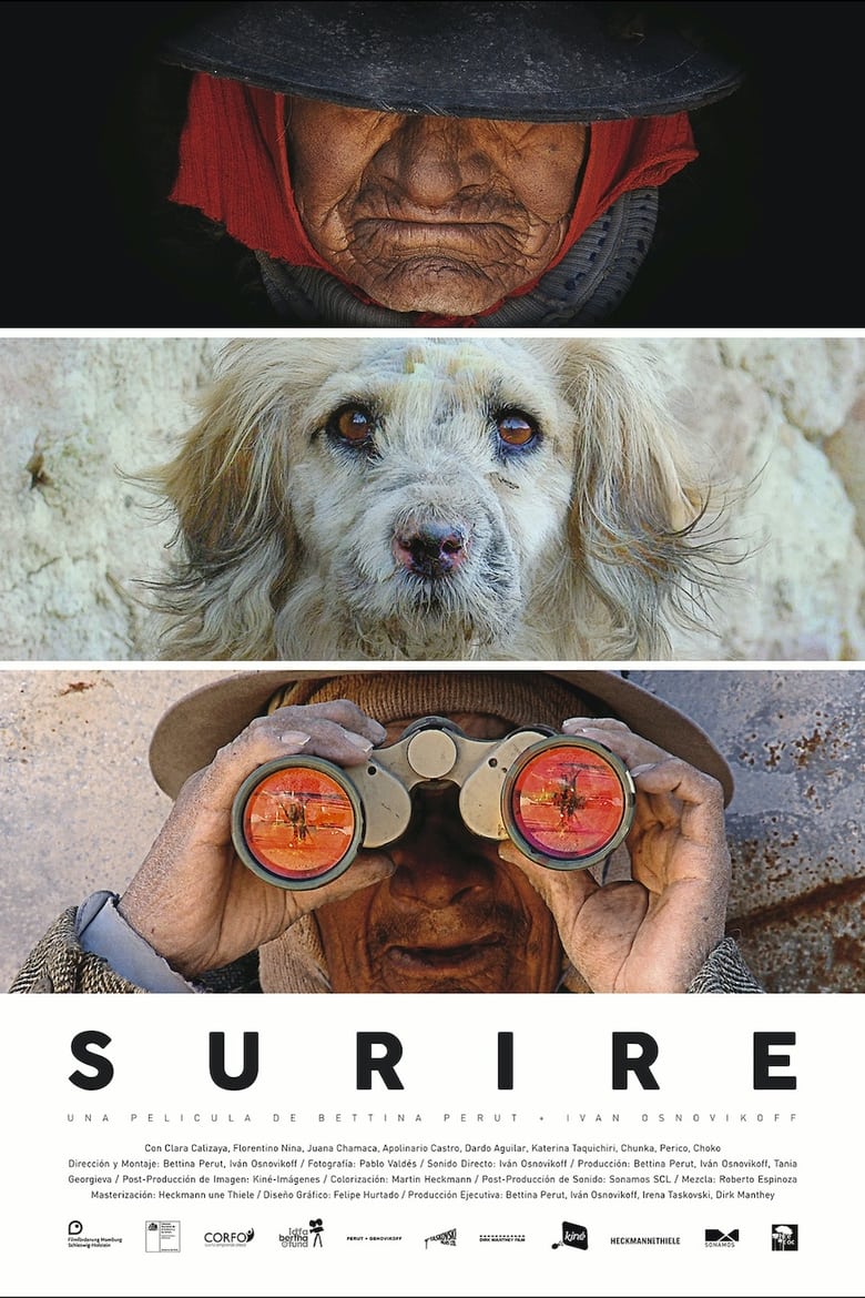 Poster of Surire