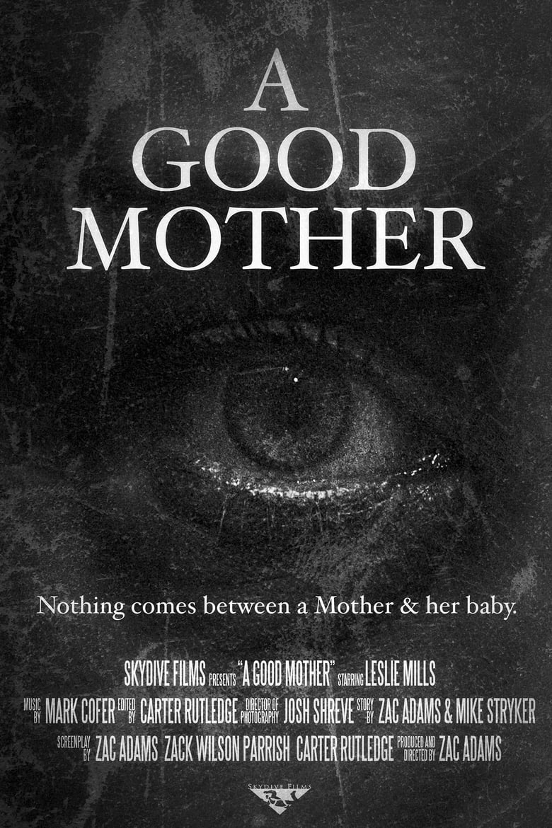 Poster of A Good Mother