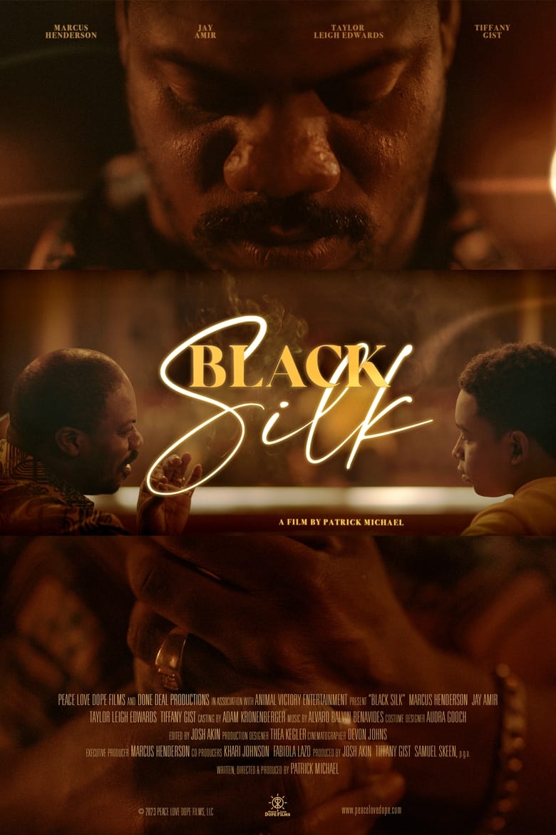 Poster of Black Silk