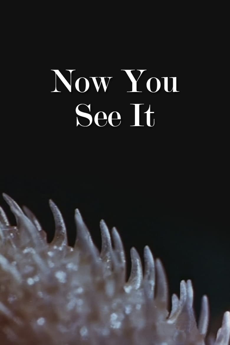 Poster of Now You See It