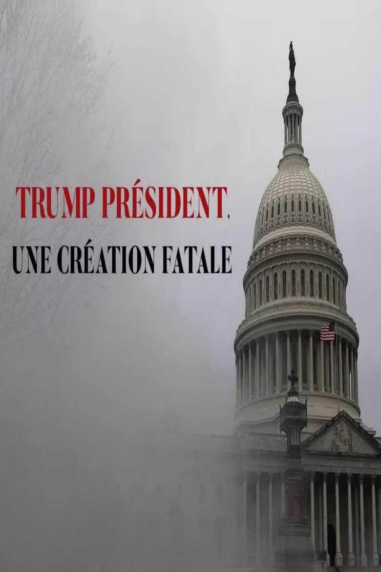 Poster of Trump président, une création fatale