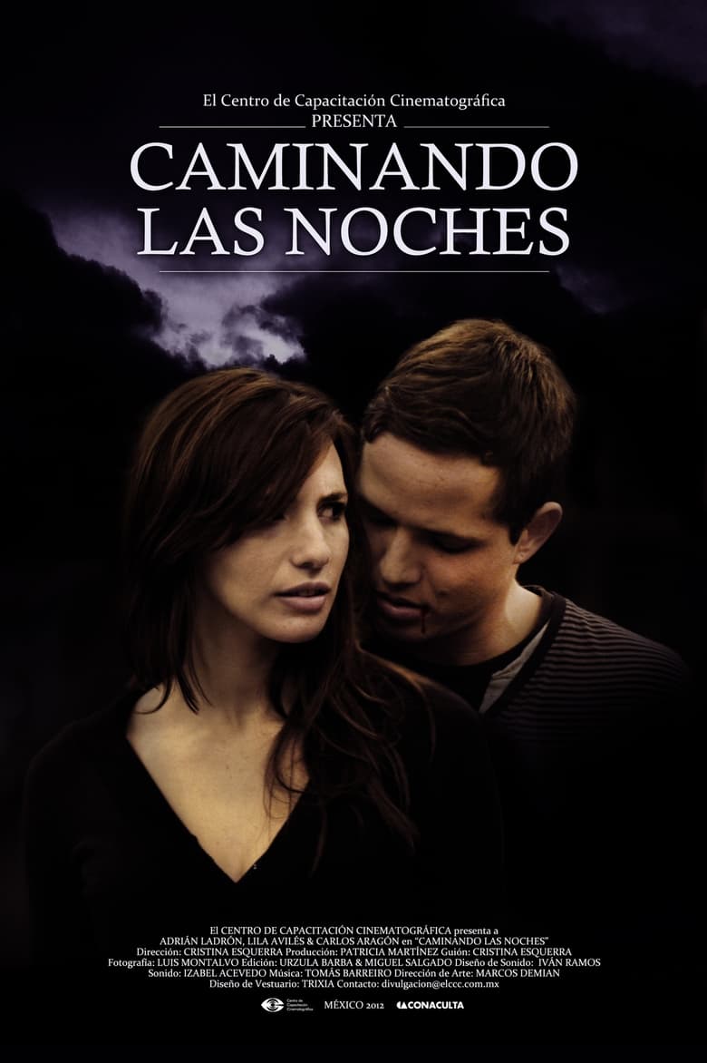 Poster of Caminando las noches