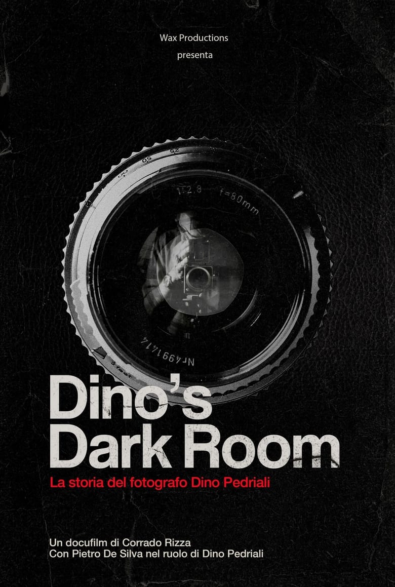 Poster of Dino's dark room