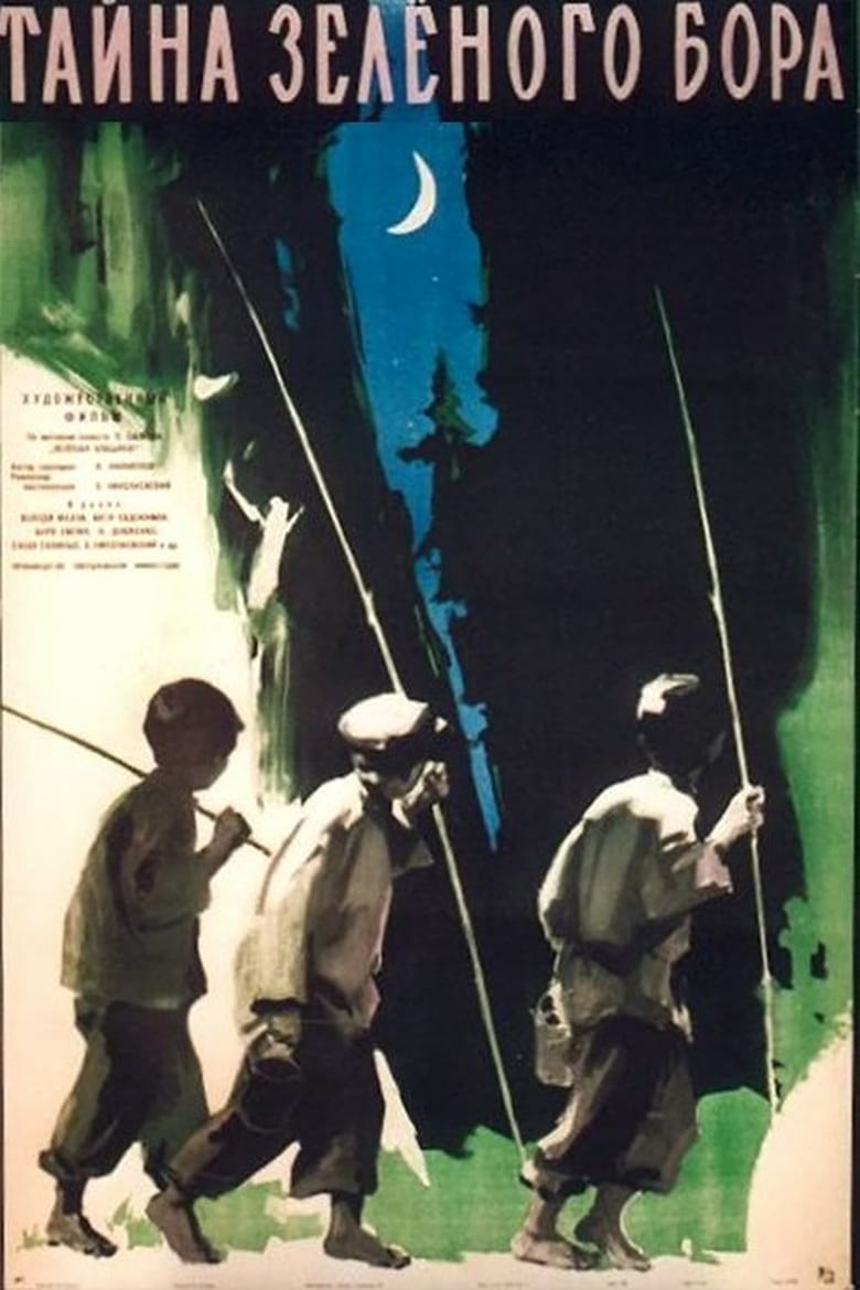 Poster of The Secret of the Green Forest