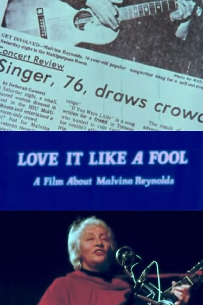 Poster of Love It Like a Fool