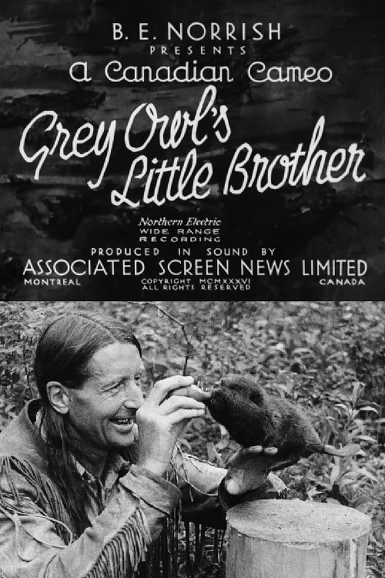 Poster of Grey Owl's Little Brother