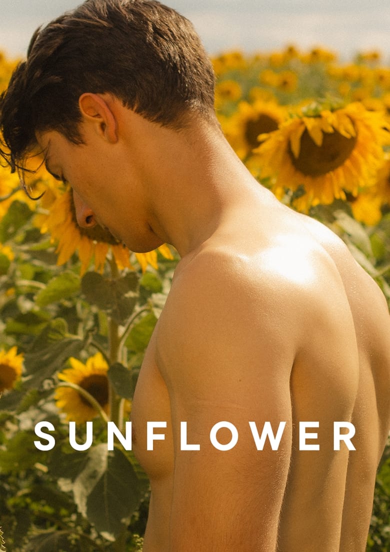 Poster of Sunflower