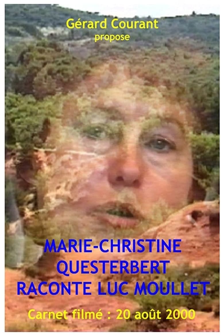 Poster of Marie-Christine Questerbert raconte Luc Moullet